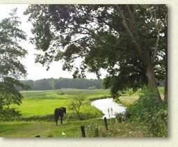 B&B oosterhesselen