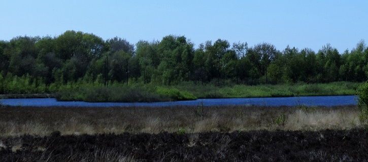 beekdal
